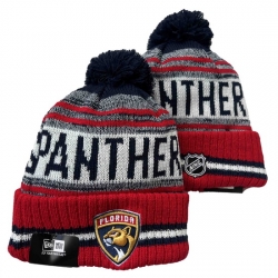 Florida Panthers Beanies 001